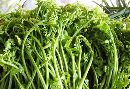 矛盾食物大對決