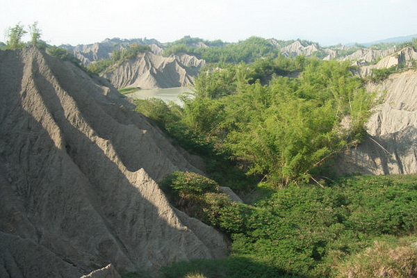 草山月世界刺竹