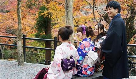 楓旅行！秋涼賞楓趣！