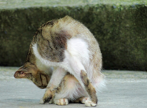 猴硐--002