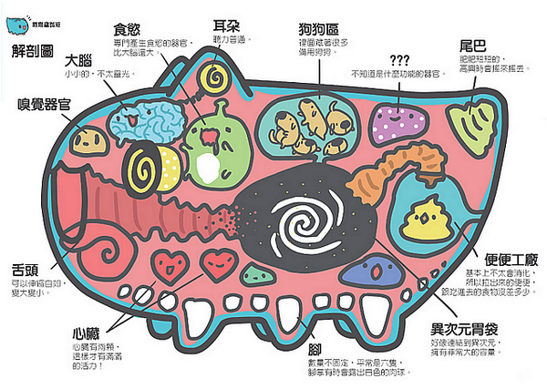 咖波分解圖600.bmp