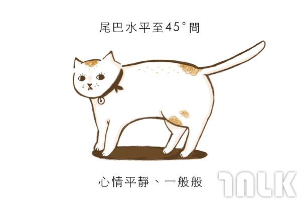 Cat單圖02.jpg