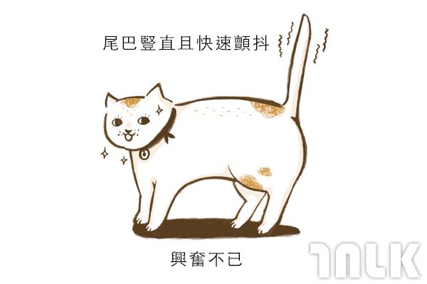 Cat單圖04.jpg