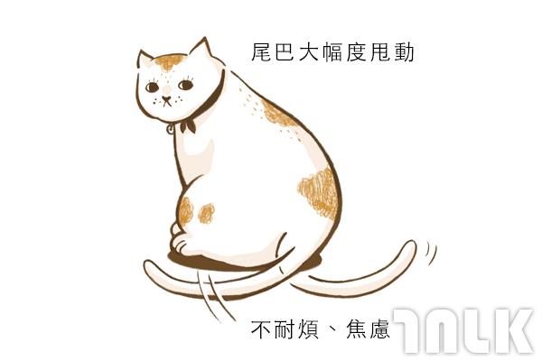 Cat單圖06.jpg