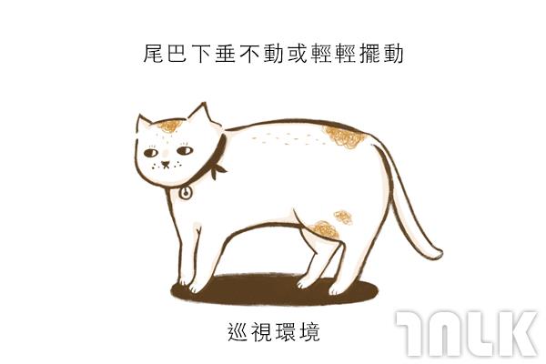 Cat單圖08.jpg
