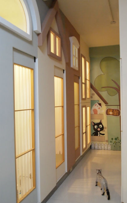 貓旅(中)