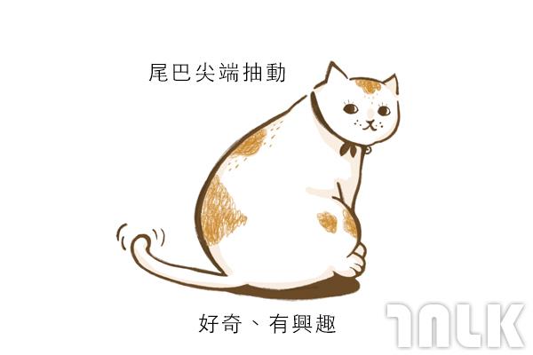 Cat單圖09.jpg