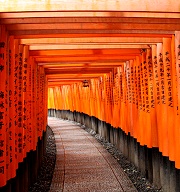 再訪夏末初秋的京阪：4種截然不同體驗玩旅行