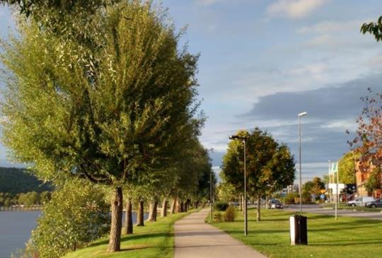 【瑞典】觀光客不會到的中古世紀小鎮 - 烏爾里瑟港