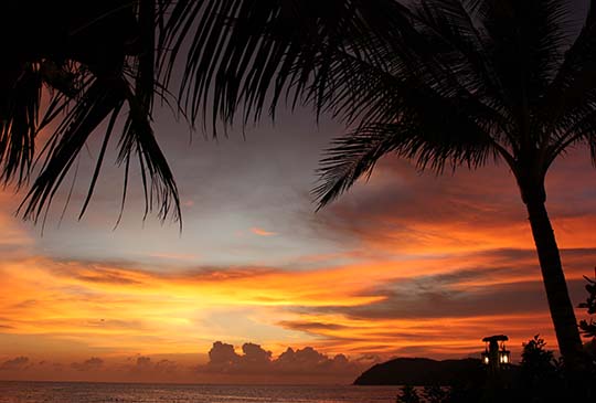 暢遊【馬來西亞】，體驗四大不同特色景點