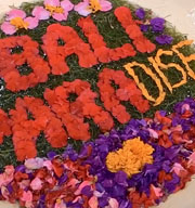 ◆走一趟大城小巷，品味峇里當地文化