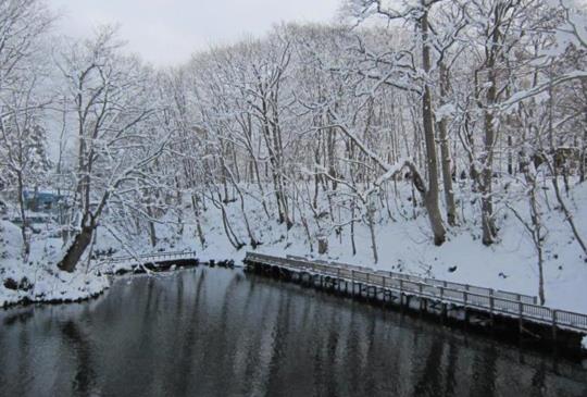 【日本】北海道：11種不同體驗玩北國風情