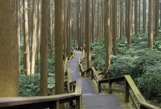 漫遊南台灣的九份－奮起湖