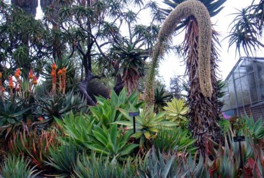 【美國】包羅萬象的洛杉機漢庭頓花園