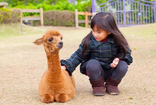 【可愛動物特輯】超萌動物出沒囉！全台精選8大可愛動物特區，快來近距離接觸、與動物們喝下午茶！