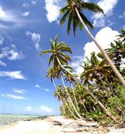 【斐濟】熱情南太平洋上的蔚藍珍珠