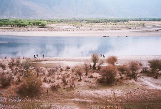 西藏【林芝】- 青藏高原上的桃花林