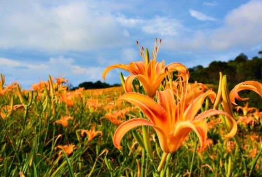 《孤獨星球》亞洲十美！ 台東旅遊懶人包 這些必踩景點絕對別錯過
