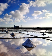 台灣好行鹽鄉濱海線 8/2起志工車上導覽假日上路