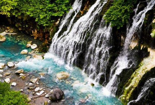 【日本。夏之北海道】美瑛精選5大景點