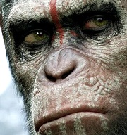 【猩球崛起：黎明前的進擊】仇恨與信任遮蔽了我們應該要看見的東西