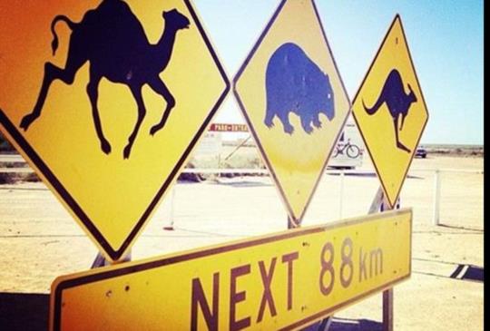 體驗澳洲【雪梨】最棒的6種方式