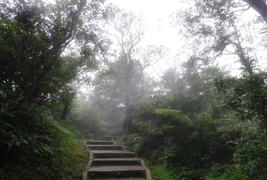 【台北】南港山: 縱走信義與南港的捷徑