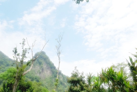 【台北．觀音山】兩條步道右眺淡水河