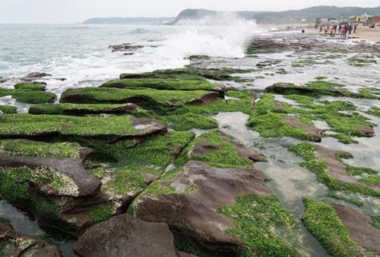 【新北市】遺世獨立，灑落海岸線的寶石：老梅綠石槽 + 南雅奇岩