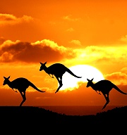 前進澳洲打工留學，你問對人了嗎?