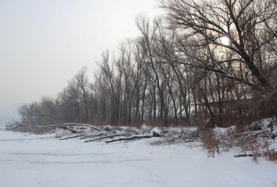 冬季雪國精選：【哈爾濱】4大必遊景點