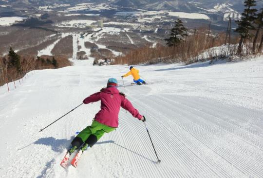 【日本】冬季旅遊首選十大家庭滑雪渡假村