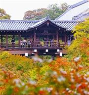 搭廉航輕鬆玩日本 7大熱門航點任你遊