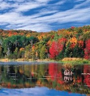 跟著2016連假去旅行 推薦全球7個慶典花季之旅