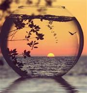 馬爾地夫【卡尼島】 許自己前進夢幻島的浪漫度假體驗