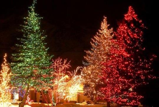 【台灣】跟著聖誕景點去旅行！一路浪漫到跨年