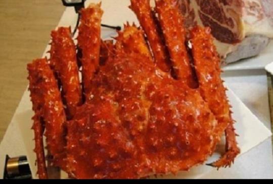 膽固醇算什麼？5家海鮮控一定要去的吃到飽餐廳