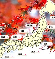 簡單6步驟教你去日本追楓！