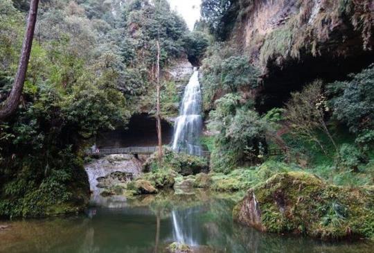 【南投】漫遊「杉林溪」之美，觀瀑賞花、大口呼吸芬多精