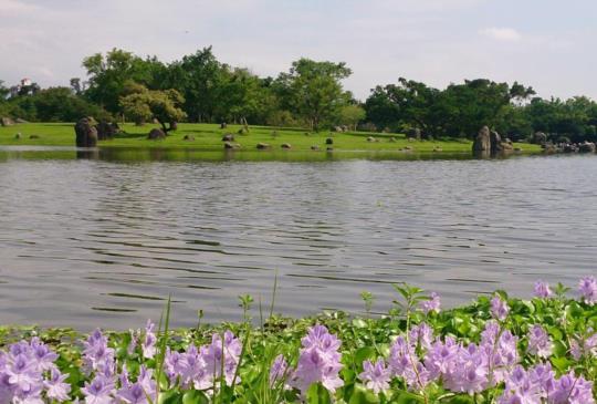 【宜蘭】台灣的兼六園：羅東運動公園