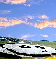 風來運轉遊基隆【擁恆文創園區】看小鴨賞貓熊