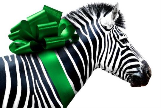 《我們買了動物園》二十秒無忌的勇氣