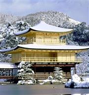 【日本】快閃京都的精選5大景點