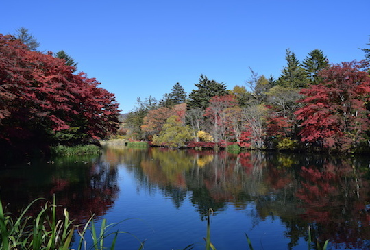 【日本】深秋單車遊輕井澤 探秘如詩畫作的雲場池
