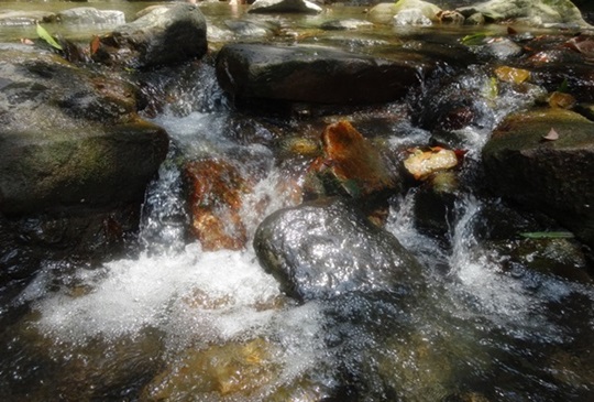 【宜蘭礁溪】人間自然走一回