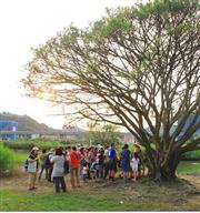 五股濕地：親近大自然，擁抱生態之美