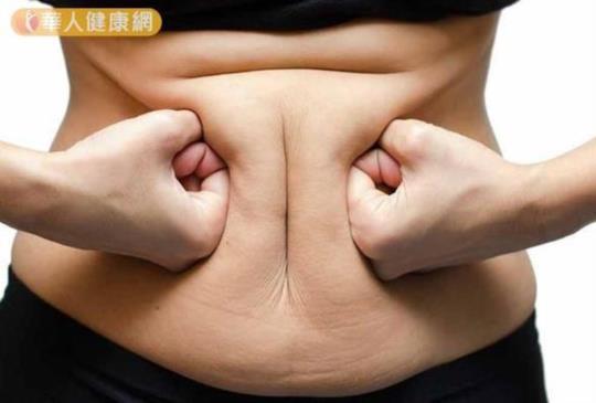 【吃掉疲勞、肥胖！必補益菌生營養素抗發炎】