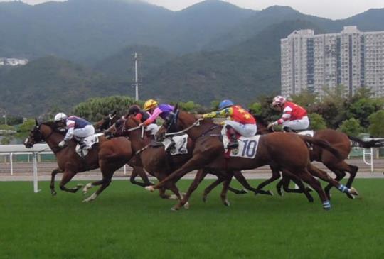 【香港】香港必玩，讓人熱血沸騰的香港賽馬