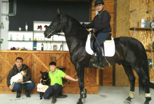 認養小棧最佳代言犬，比靈犬萊西還厲害？