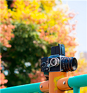 【台北】精選秋日遠足五大經典路線